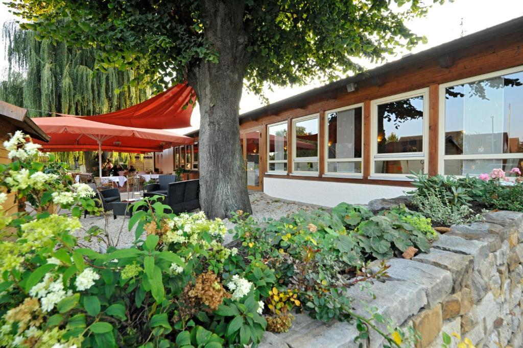 Hotel Dreimaedelhaus 에스페캄프미트워드 외부 사진